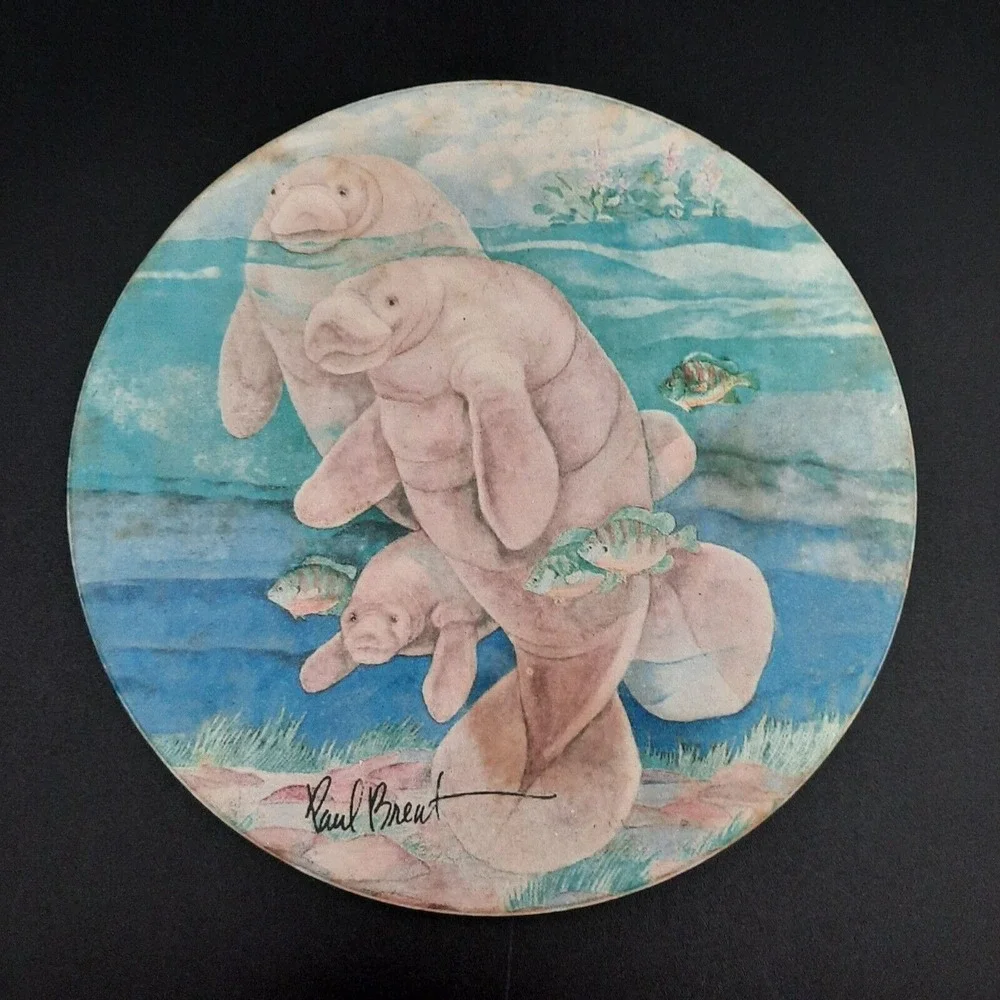 Paul Brent‎ Manatee Family Round Ceramic Coaster Replacement With Cork Backing